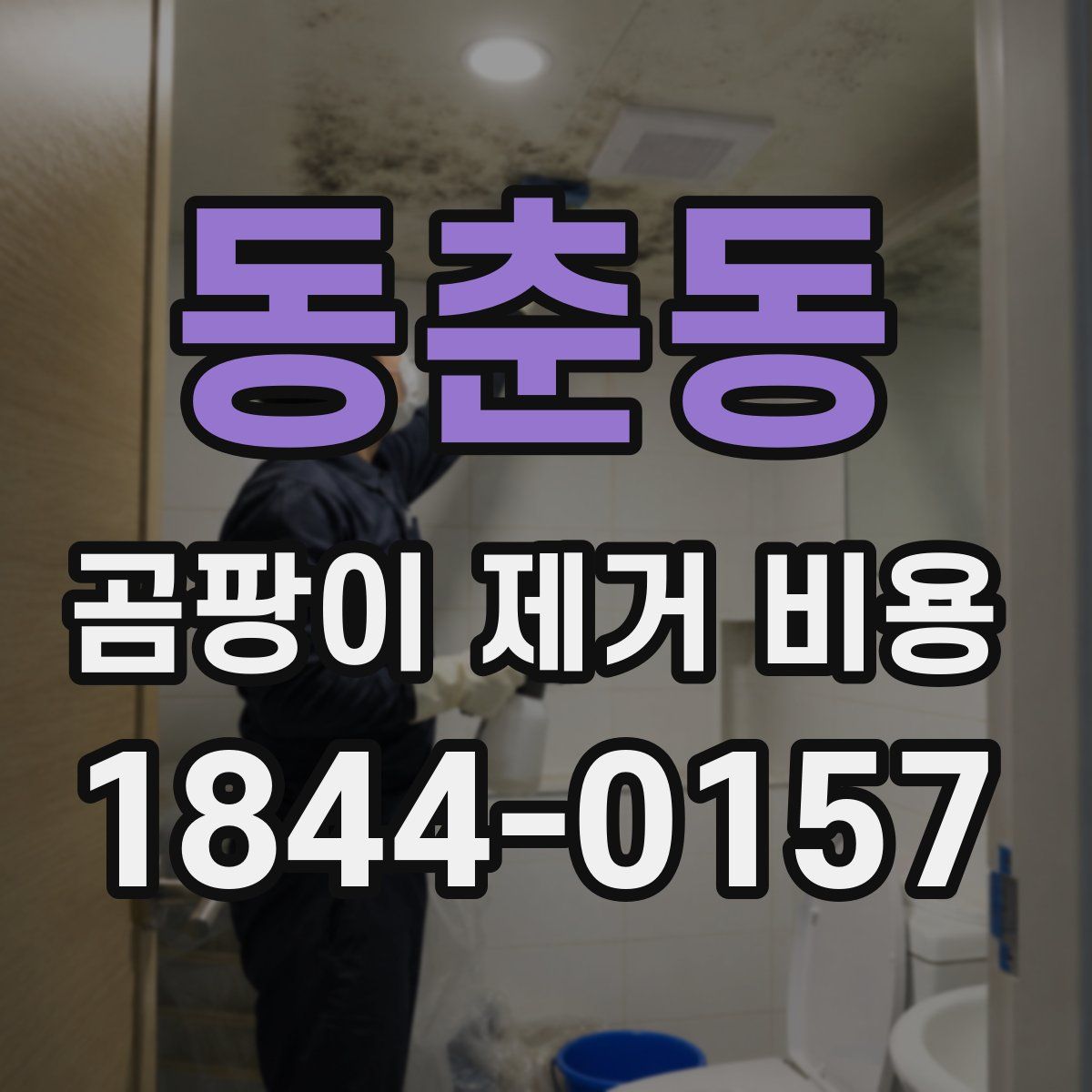 동춘동 곰팡이 제거 비용