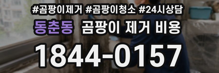 동춘동 곰팡이 제거 비용