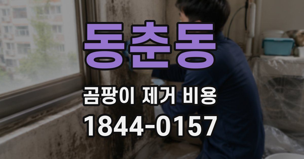 동춘동 곰팡이 제거 비용