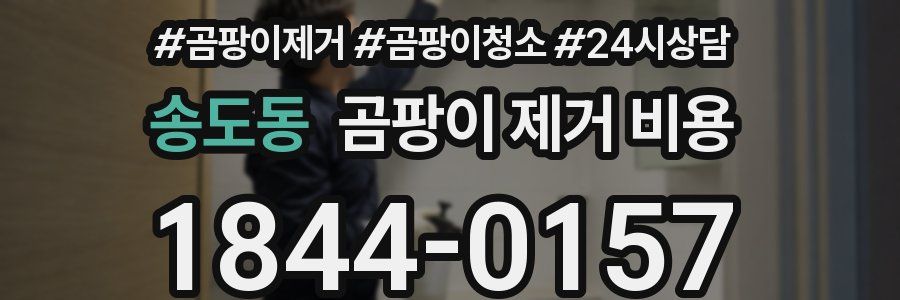 송도동 곰팡이 제거 비용
