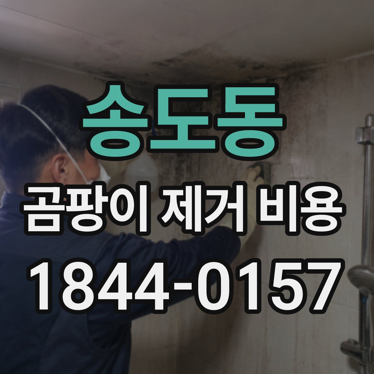 송도동 곰팡이 제거 비용