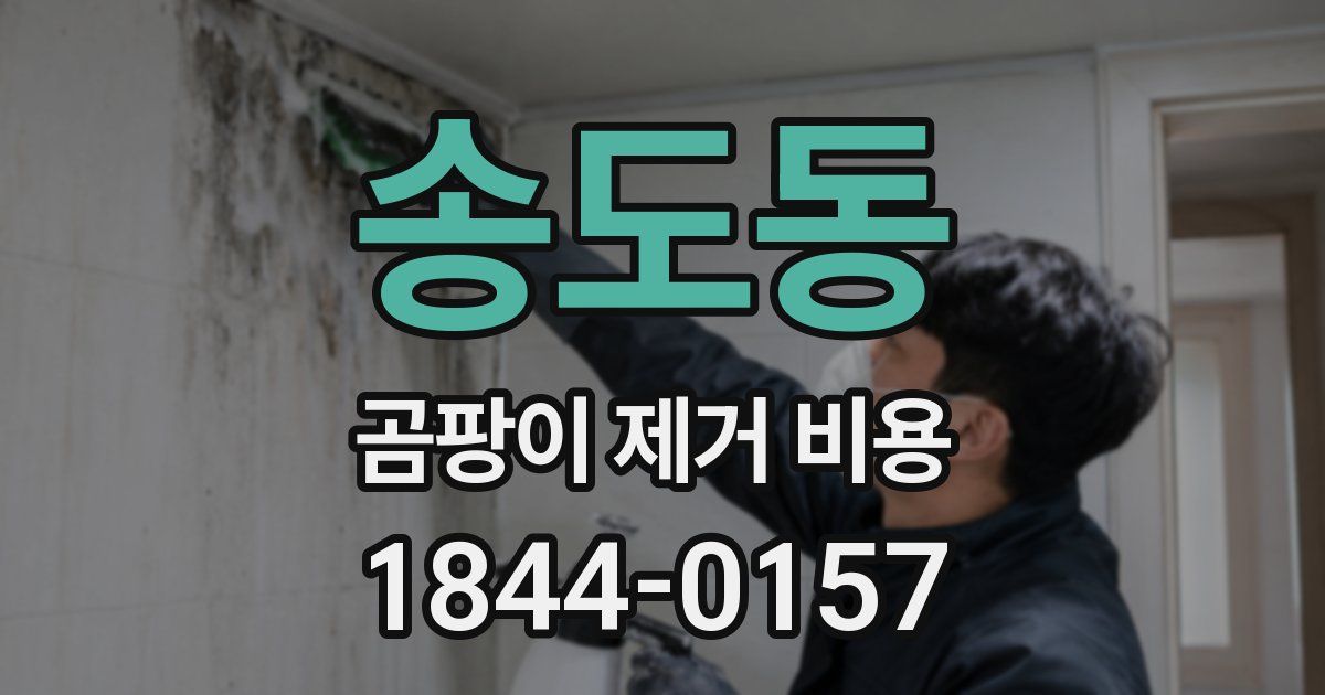 송도동 곰팡이 제거 비용