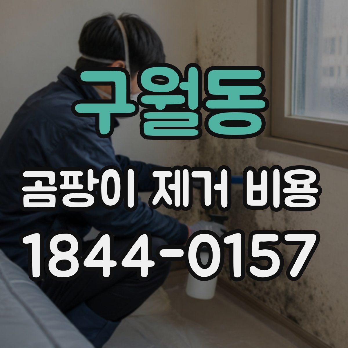 구월동 곰팡이 제거 비용