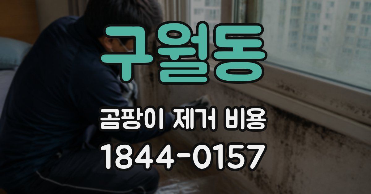 구월동 곰팡이 제거 비용
