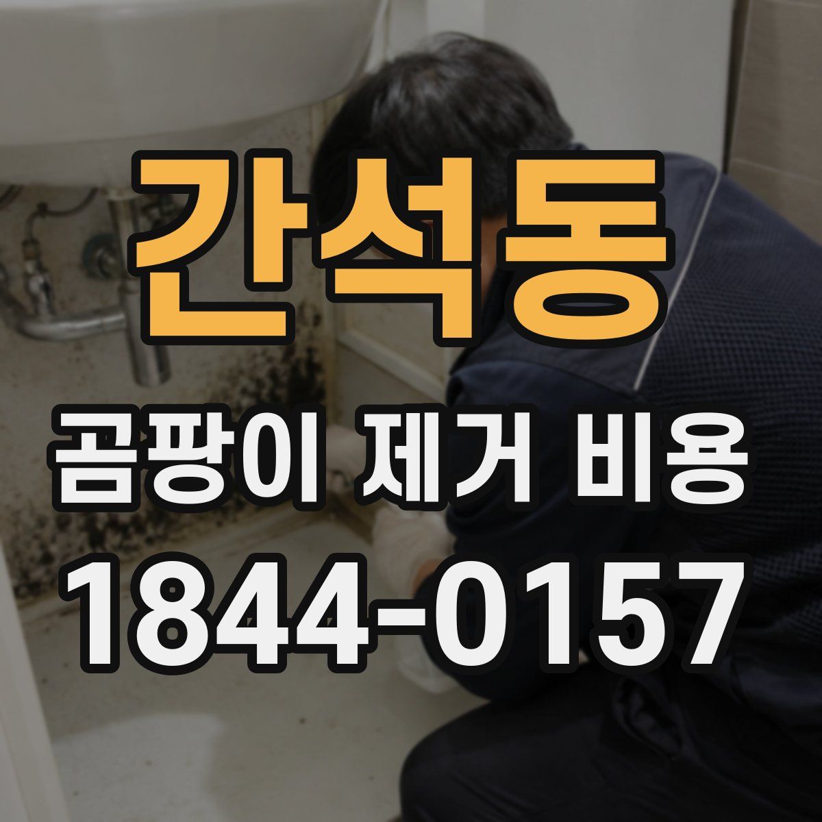 간석동 곰팡이 제거 비용