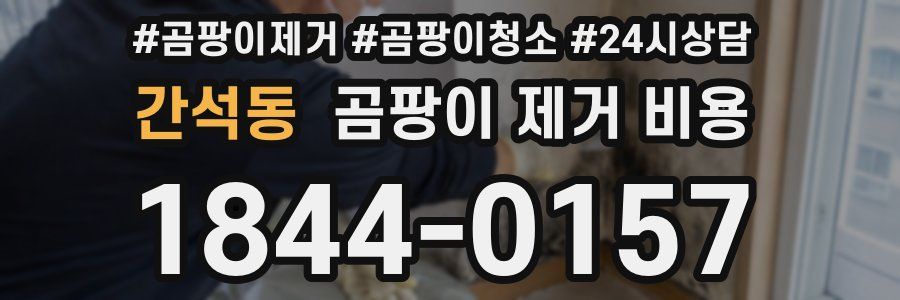 간석동 곰팡이 제거 비용