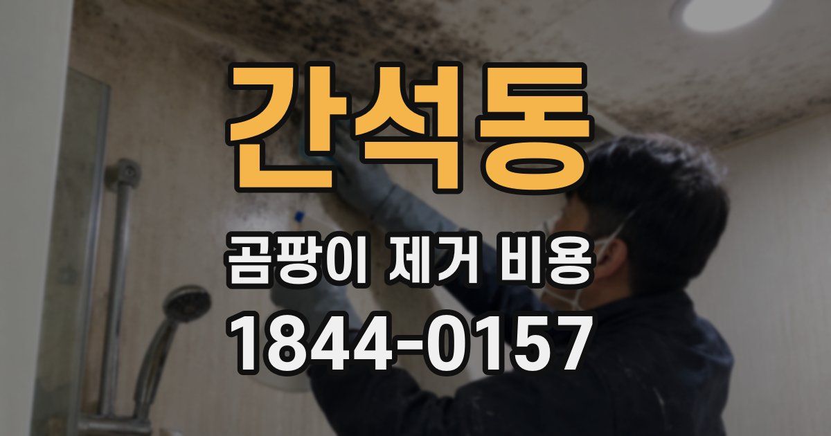 간석동 곰팡이 제거 비용