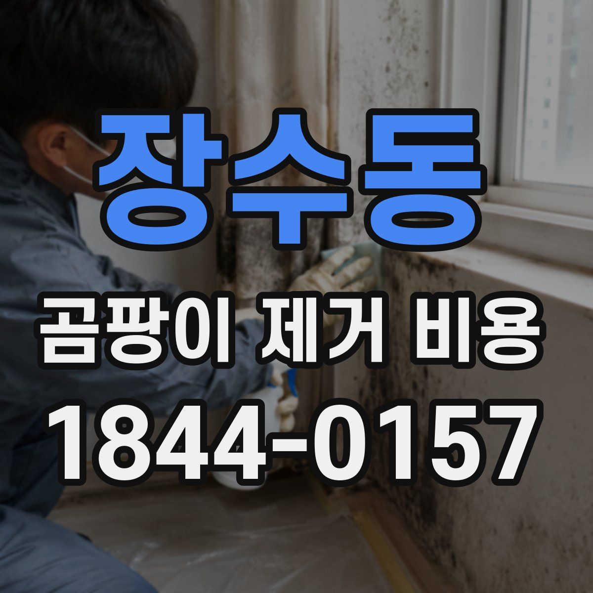 장수동 곰팡이 제거 비용