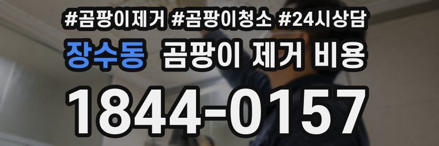 장수동 곰팡이 제거 비용