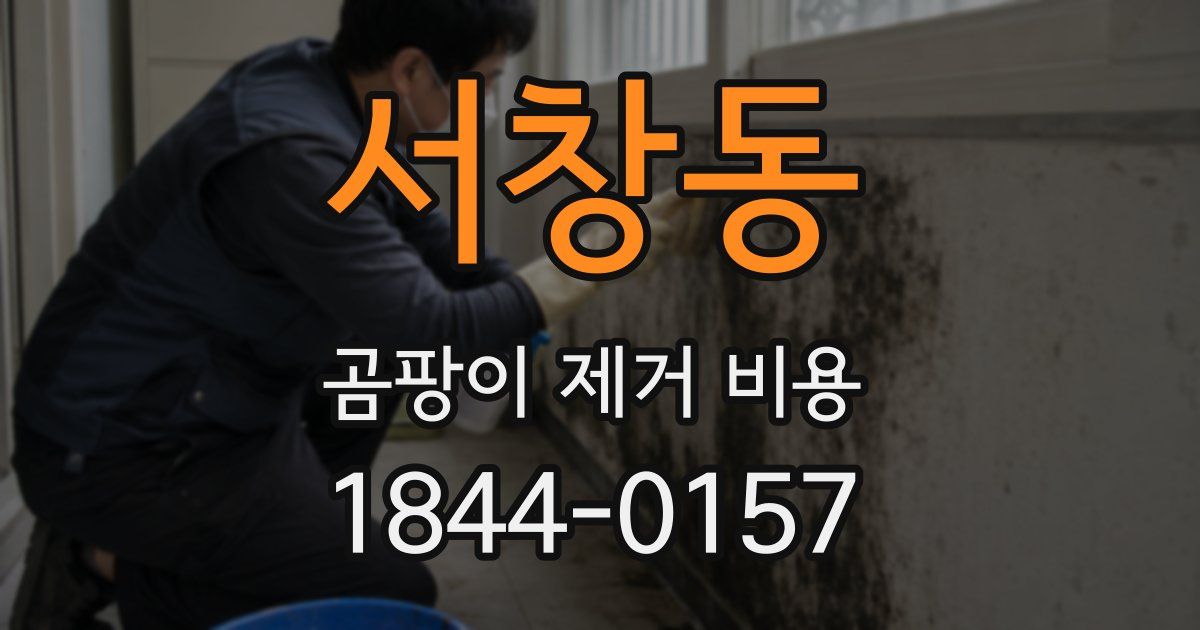 서창동 곰팡이 제거 비용