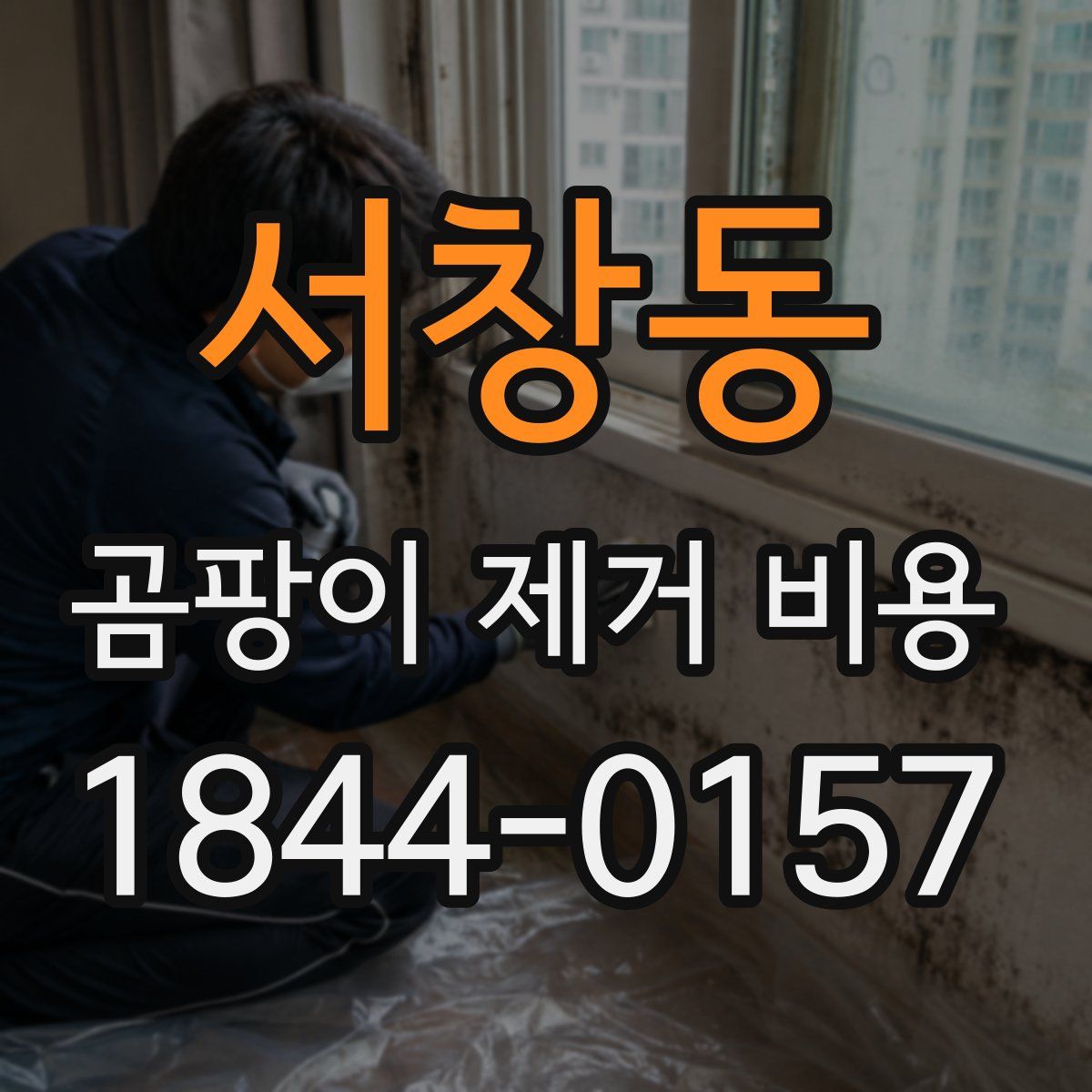 서창동 곰팡이 제거 비용