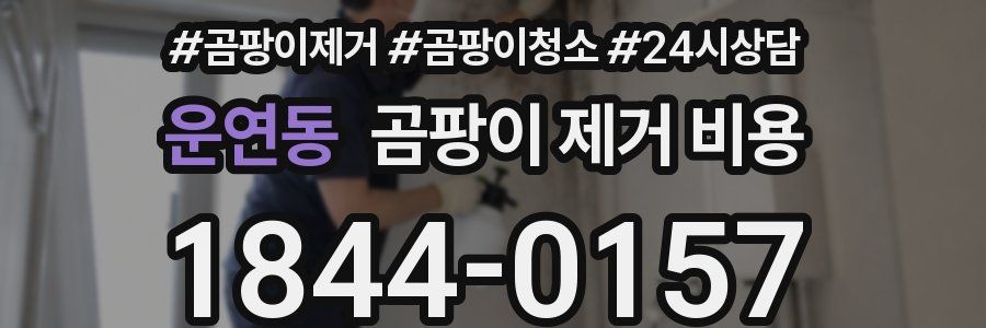 운연동 곰팡이 제거 비용