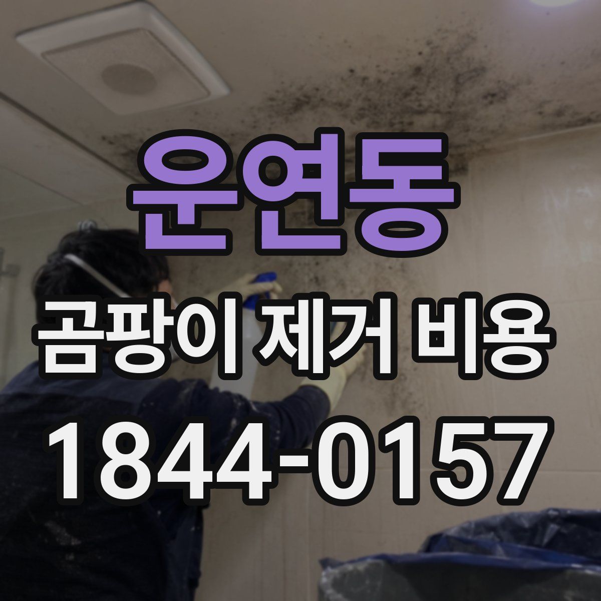 운연동 곰팡이 제거 비용