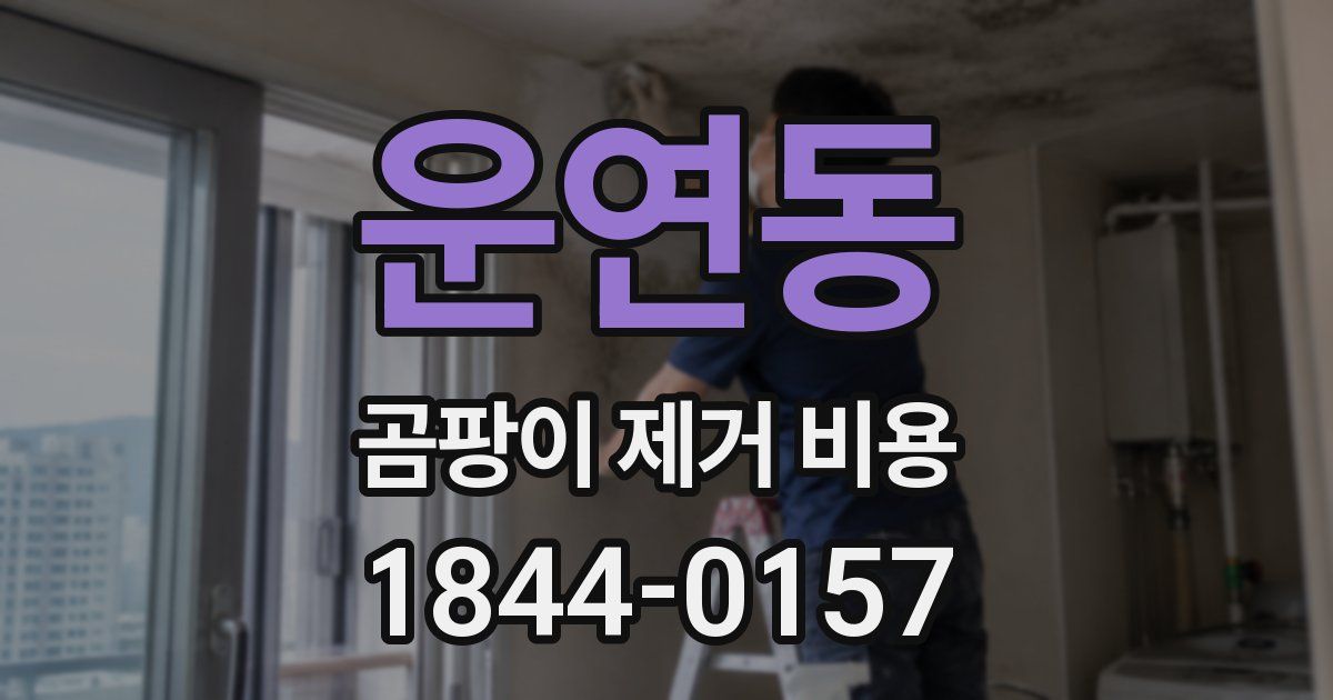 운연동 곰팡이 제거 비용