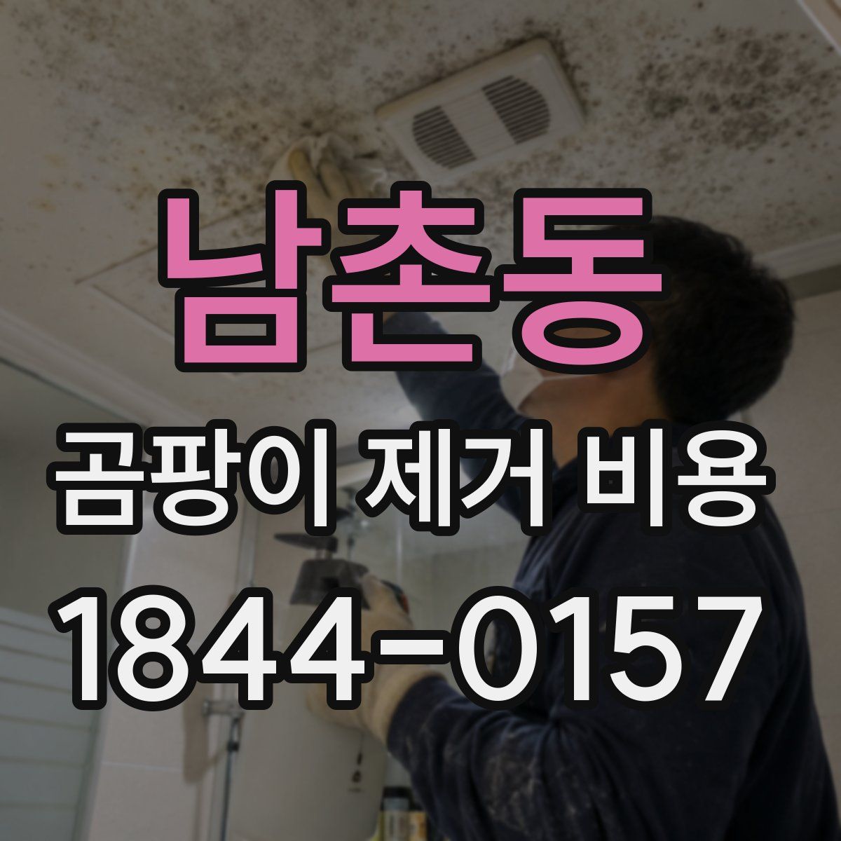 남촌동 곰팡이 제거 비용