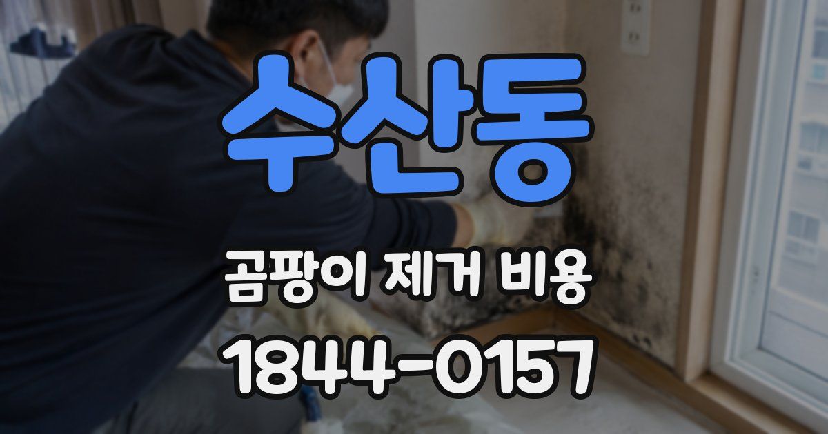 수산동 곰팡이 제거 비용
