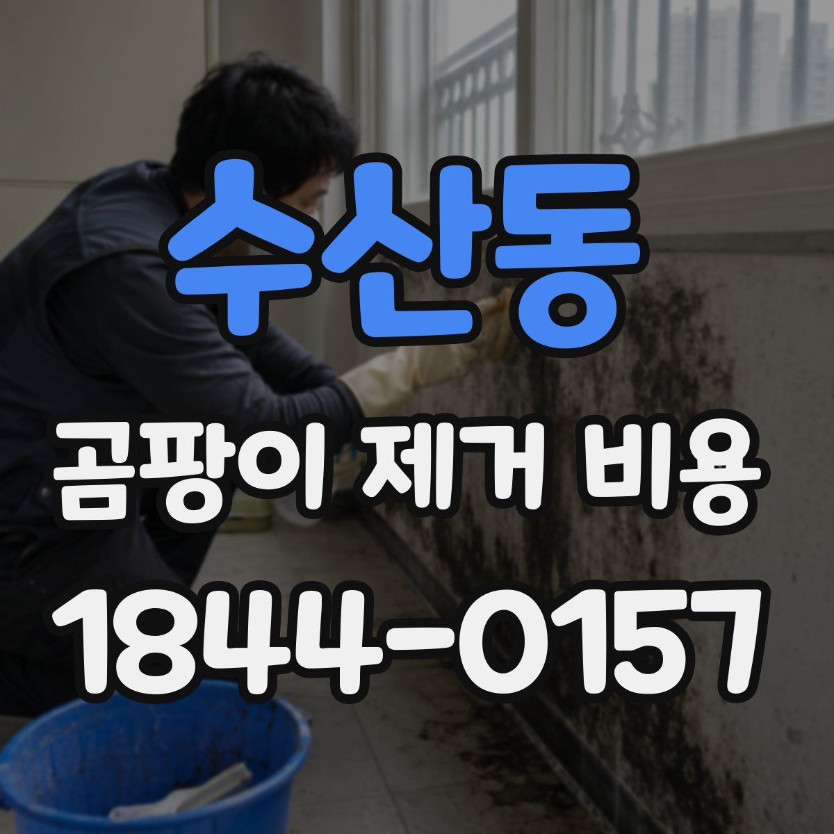 수산동 곰팡이 제거 비용