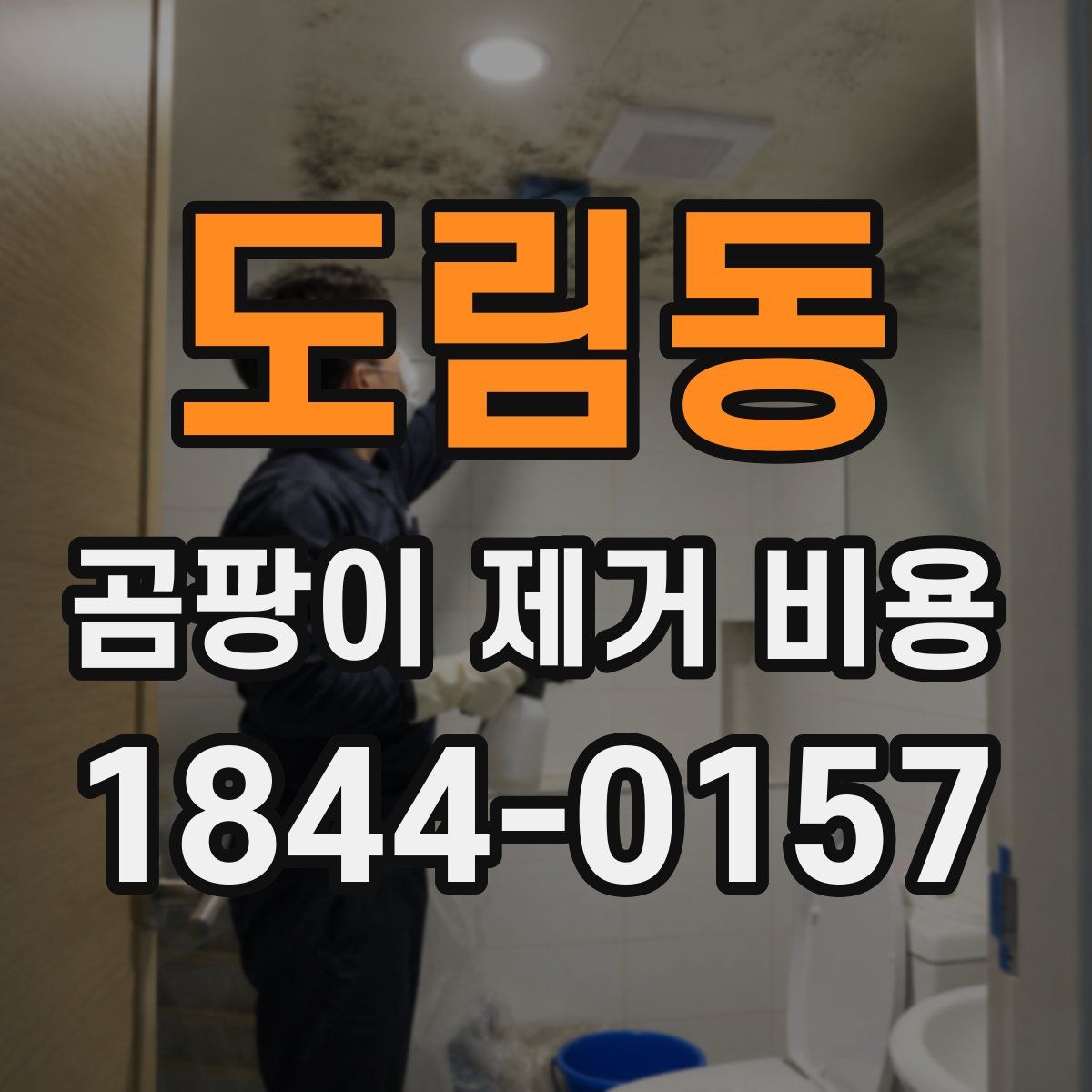 도림동 곰팡이 제거 비용