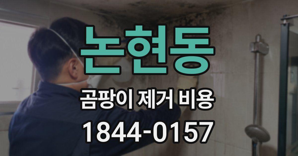 논현동 곰팡이 제거 비용