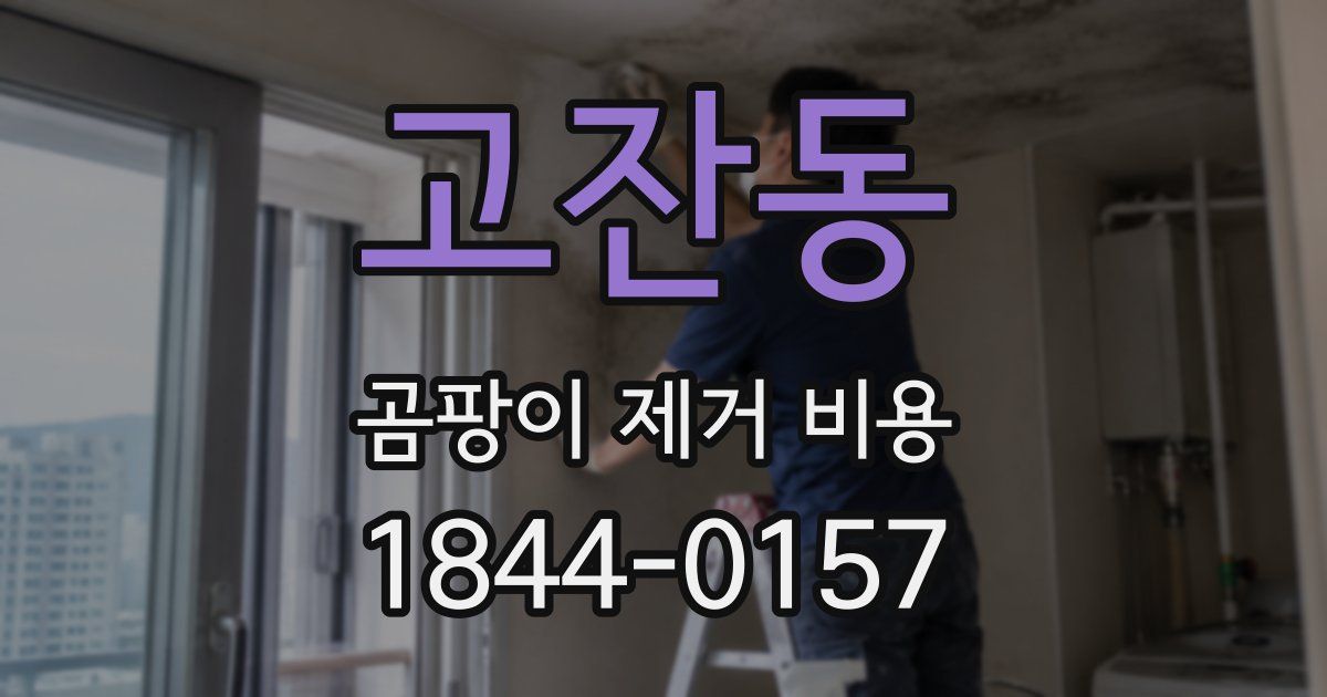 고잔동 곰팡이 제거 비용