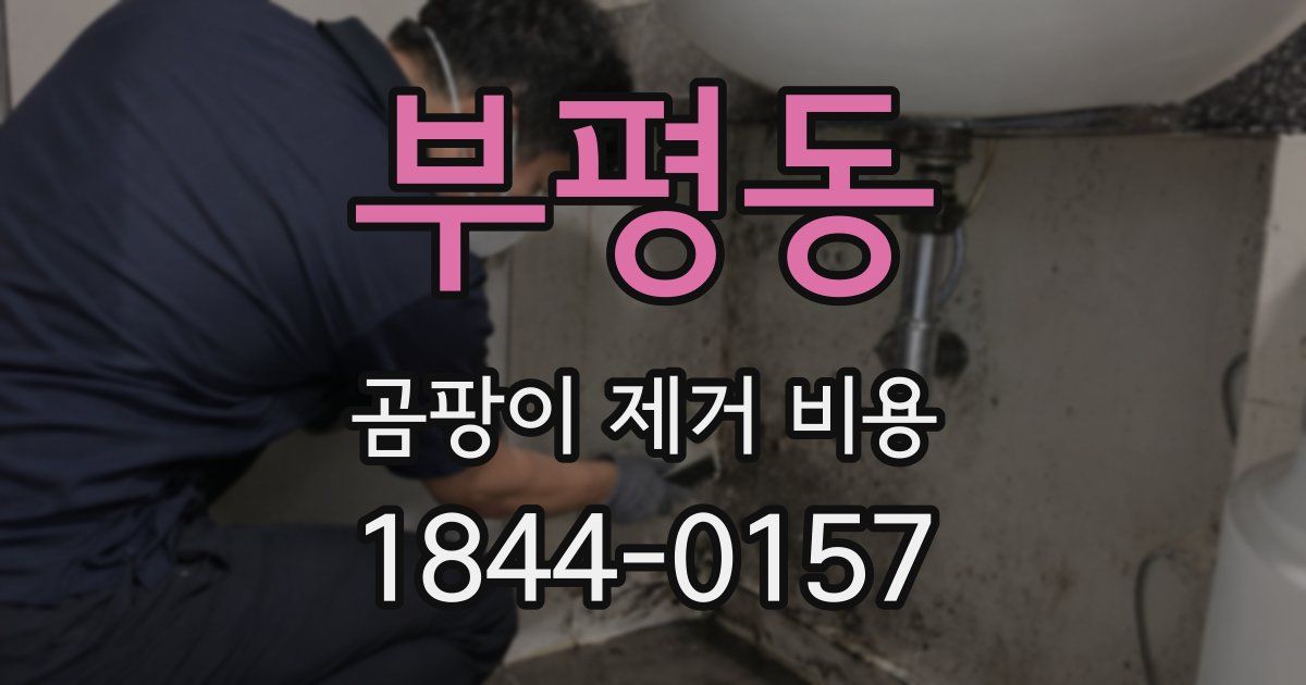 부평동 곰팡이 제거 비용