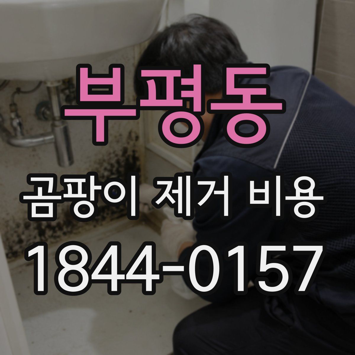 부평동 곰팡이 제거 비용