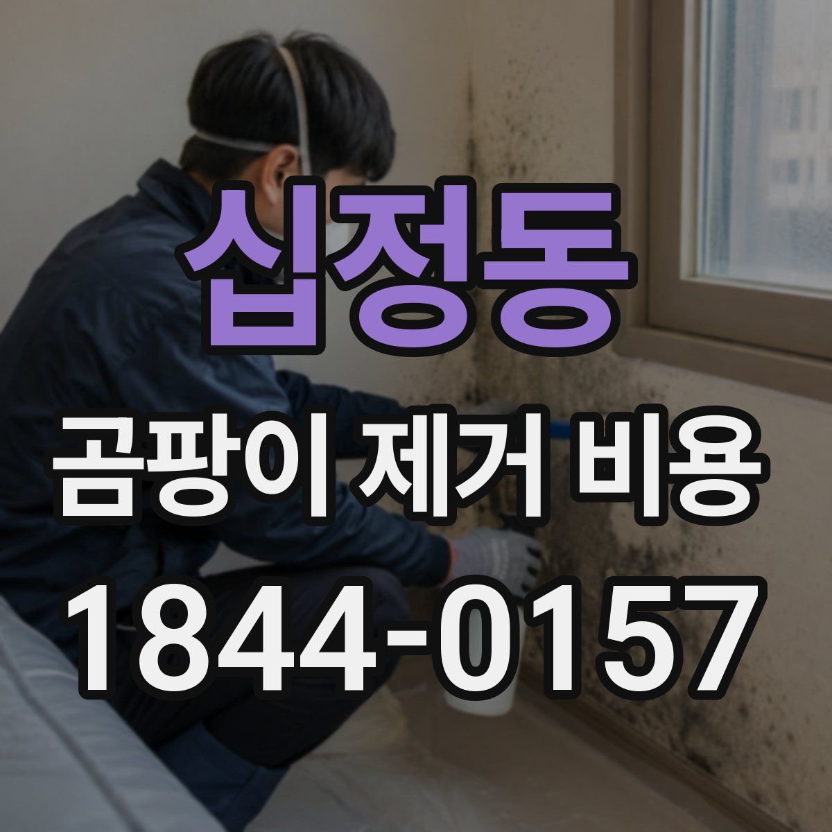 십정동 곰팡이 제거 비용