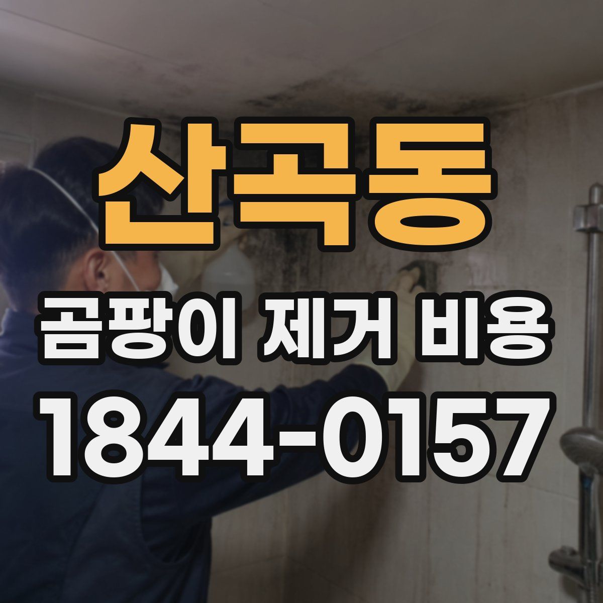 산곡동 곰팡이 제거 비용