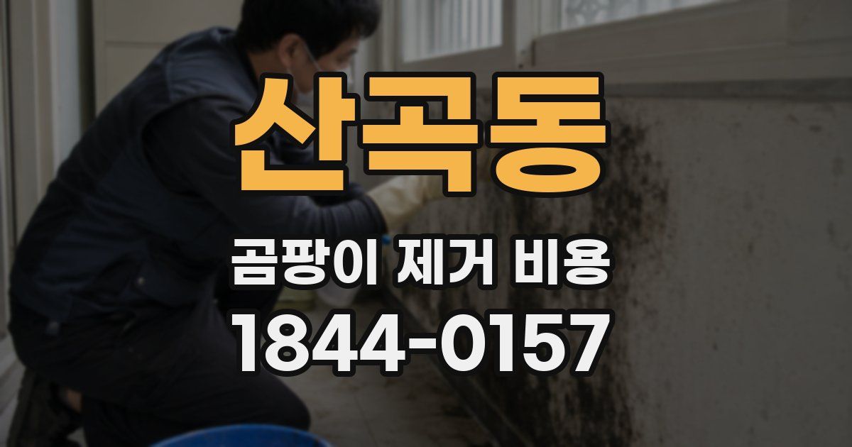 산곡동 곰팡이 제거 비용