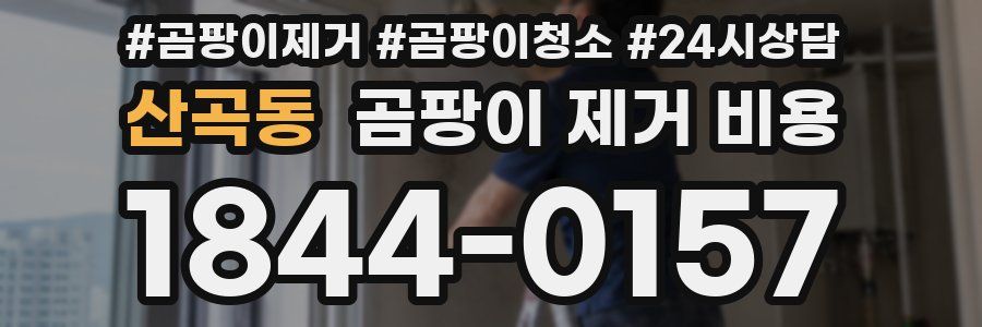 산곡동 곰팡이 제거 비용
