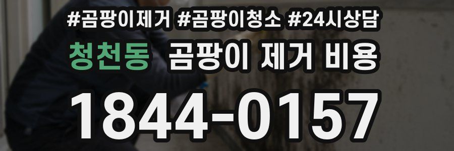 청천동 곰팡이 제거 비용