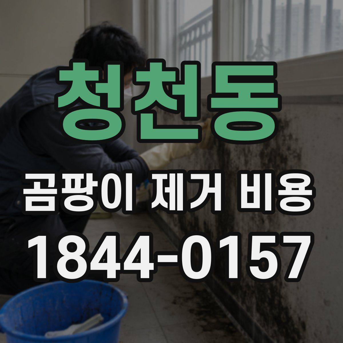 청천동 곰팡이 제거 비용
