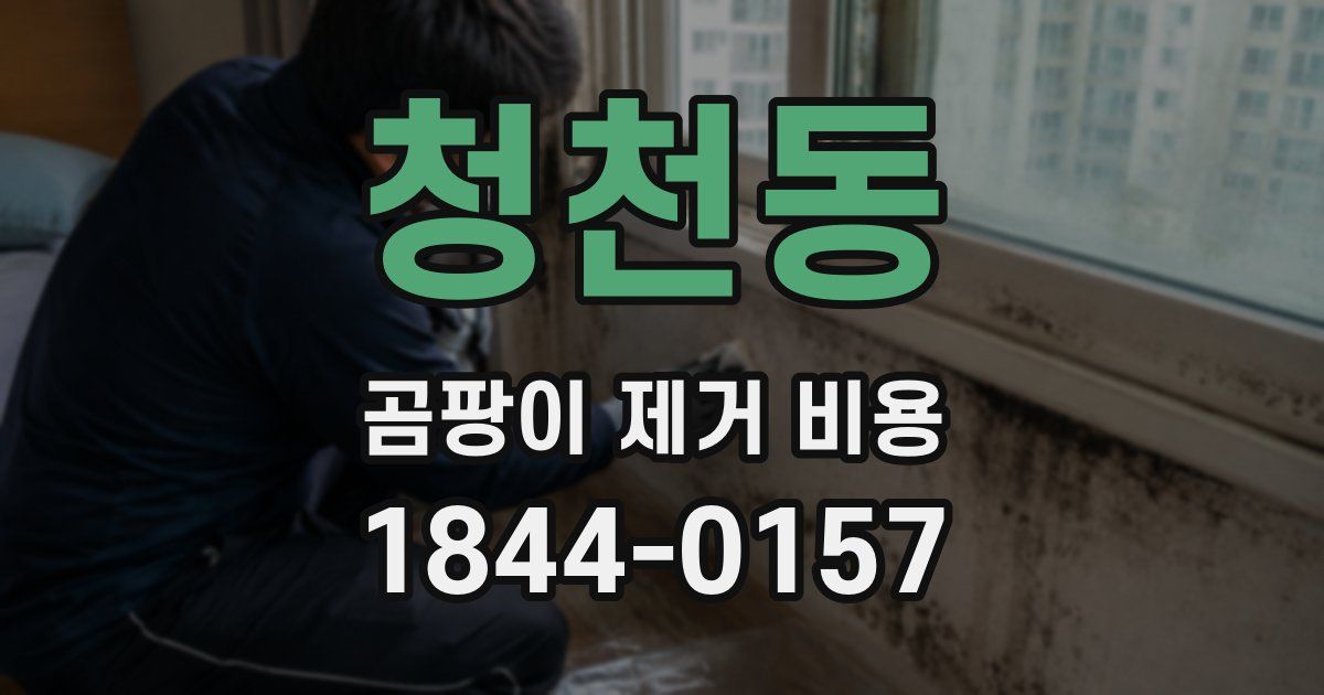 청천동 곰팡이 제거 비용