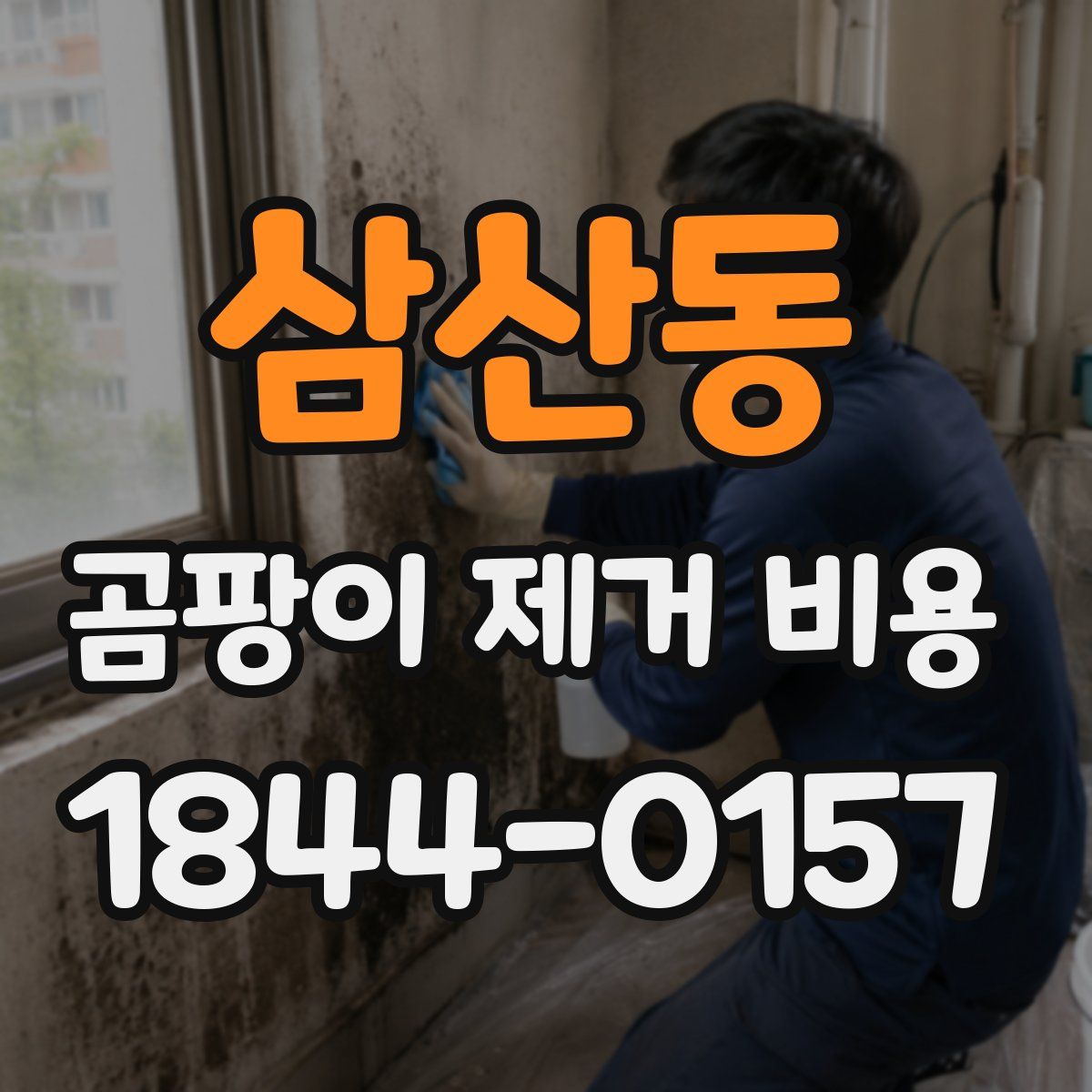 삼산동 곰팡이 제거 비용