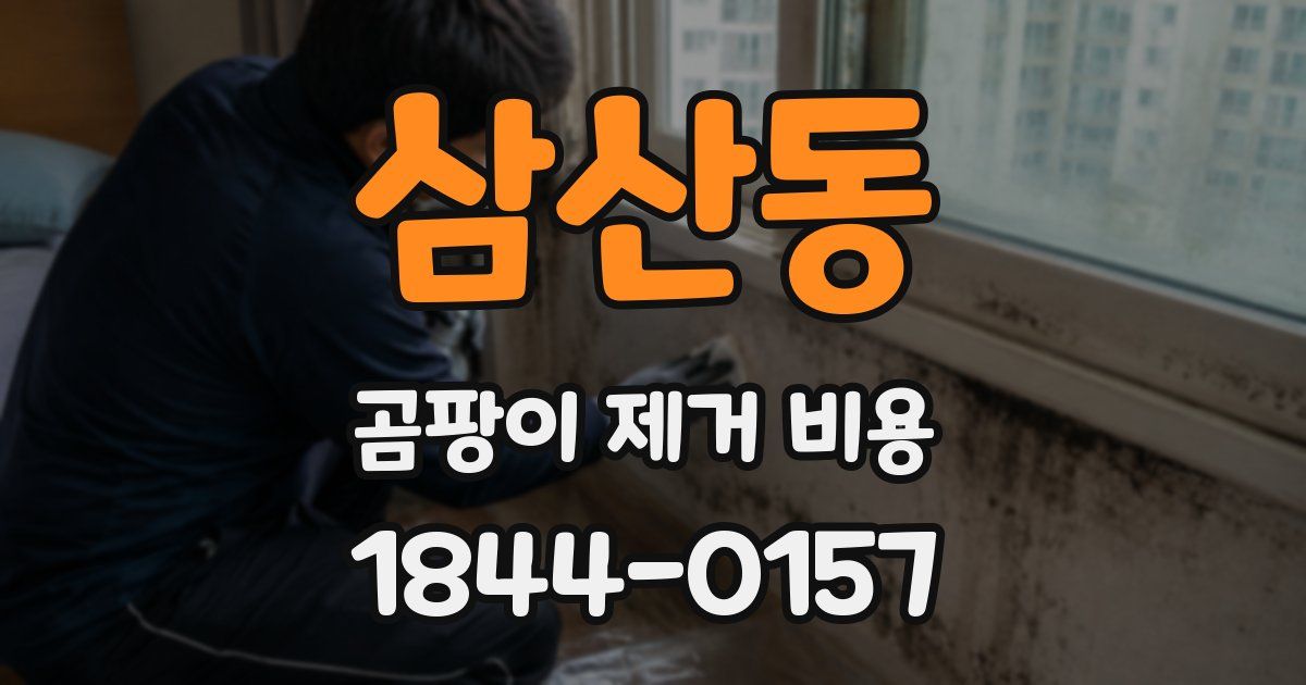 삼산동 곰팡이 제거 비용