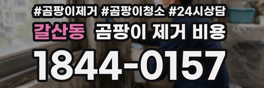 갈산동 곰팡이 제거 비용