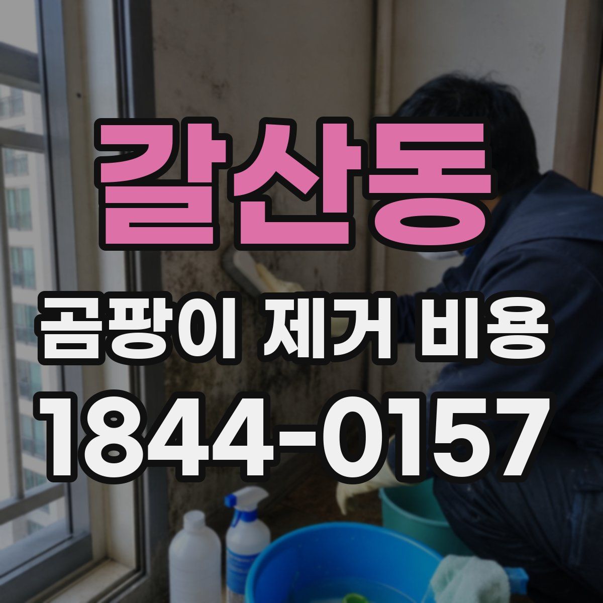 갈산동 곰팡이 제거 비용