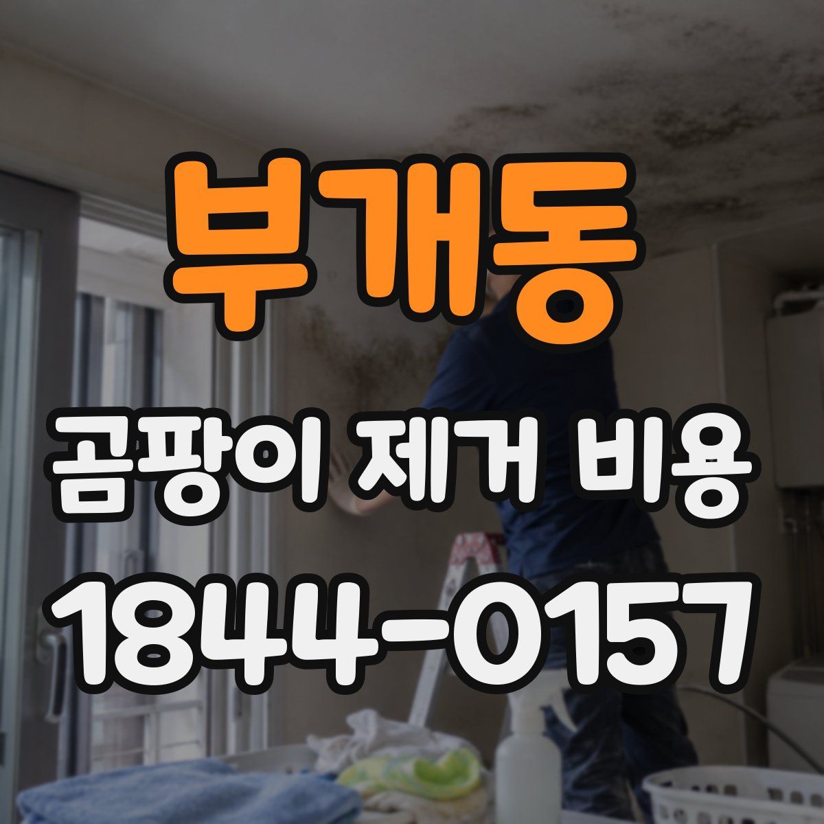 부개동 곰팡이 제거 비용