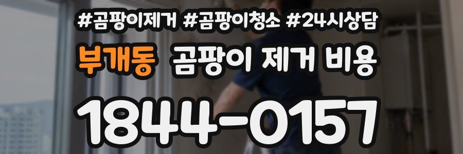 부개동 곰팡이 제거 비용