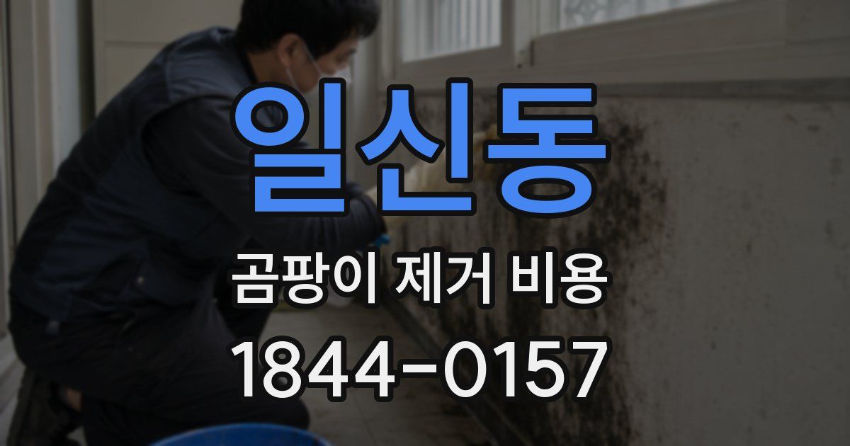 일신동 곰팡이 제거 비용