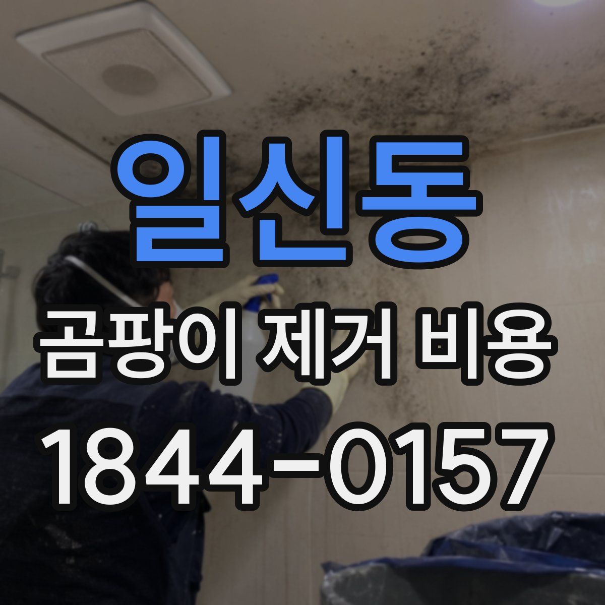 일신동 곰팡이 제거 비용