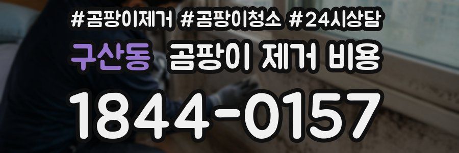 구산동 곰팡이 제거 비용
