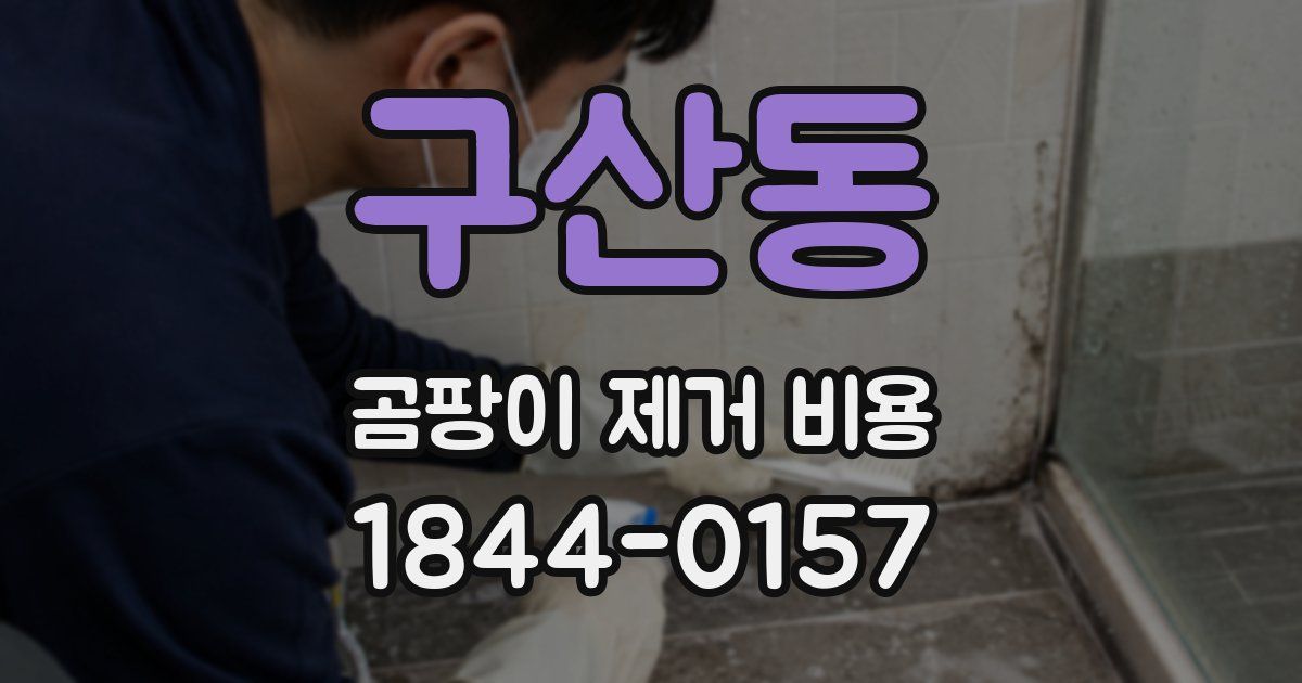 구산동 곰팡이 제거 비용