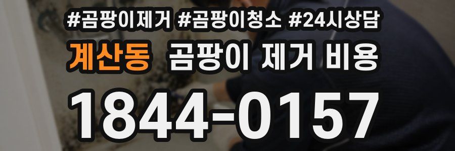 계산동 곰팡이 제거 비용