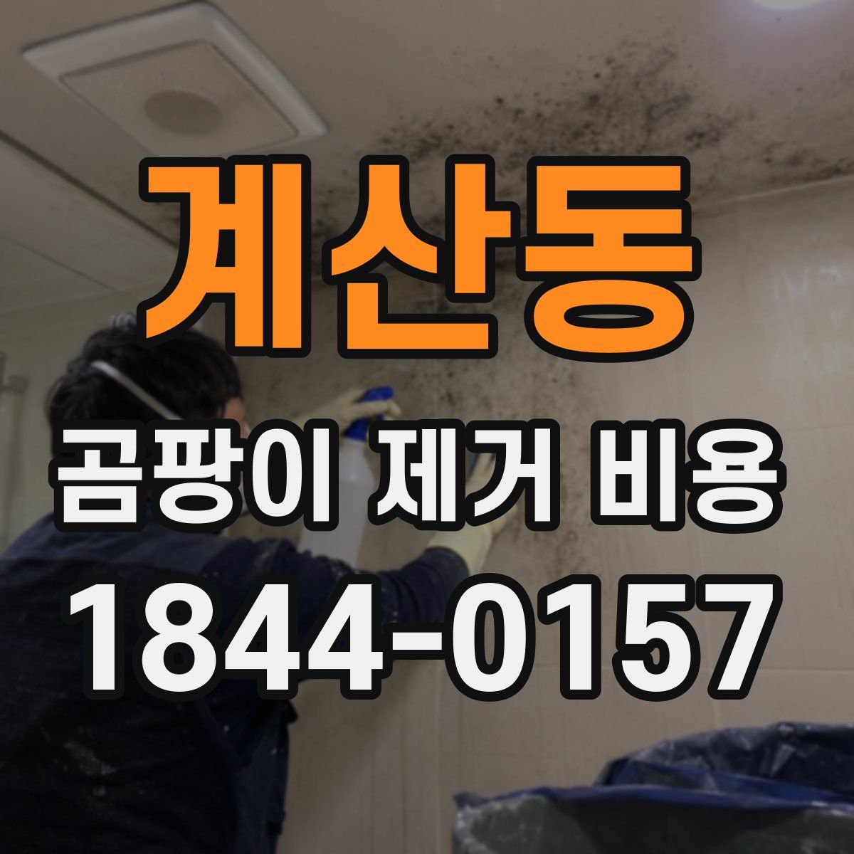 계산동 곰팡이 제거 비용