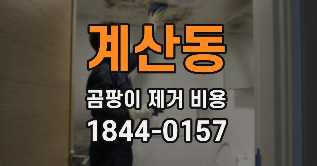 계산동 곰팡이 제거 비용