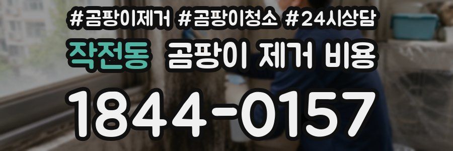 작전동 곰팡이 제거 비용