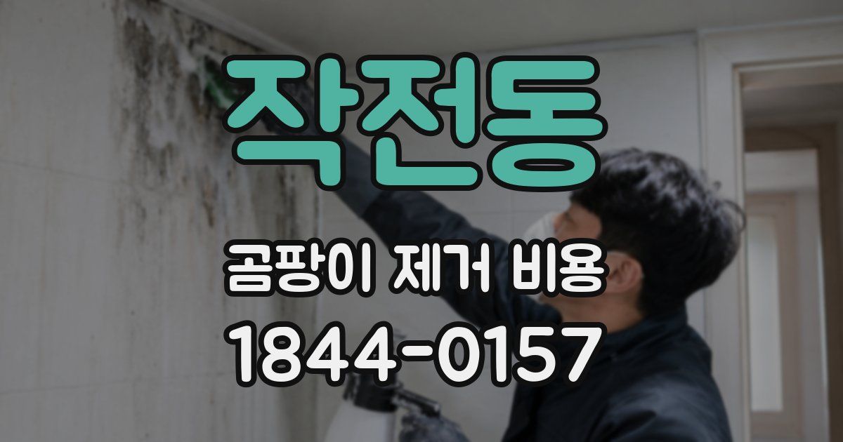 작전동 곰팡이 제거 비용