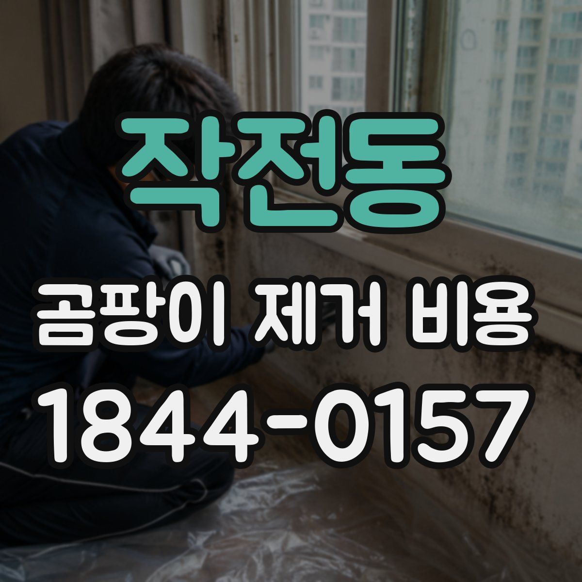 작전동 곰팡이 제거 비용
