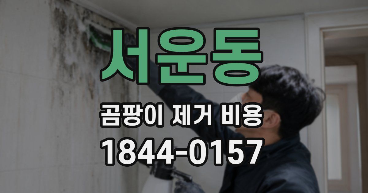 서운동 곰팡이 제거 비용